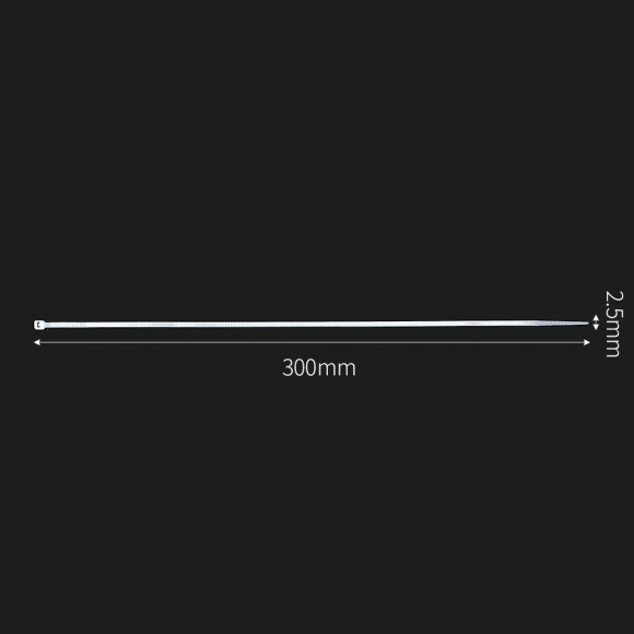 홀덱스 케이블타이 300개 (2.5x300mm) (화이트)