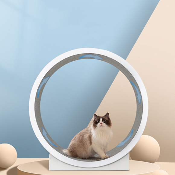 저소음 고양이 캣휠(베이지)
