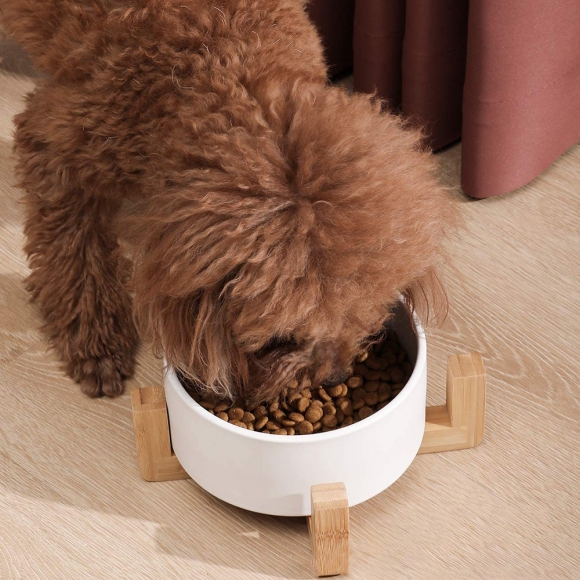 반려동물 우드받침 도자기식기(16cm) (화이트)