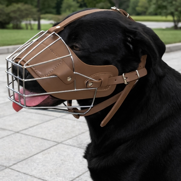 펫가드 스틸 강아지 입마개(XL) (브라운)