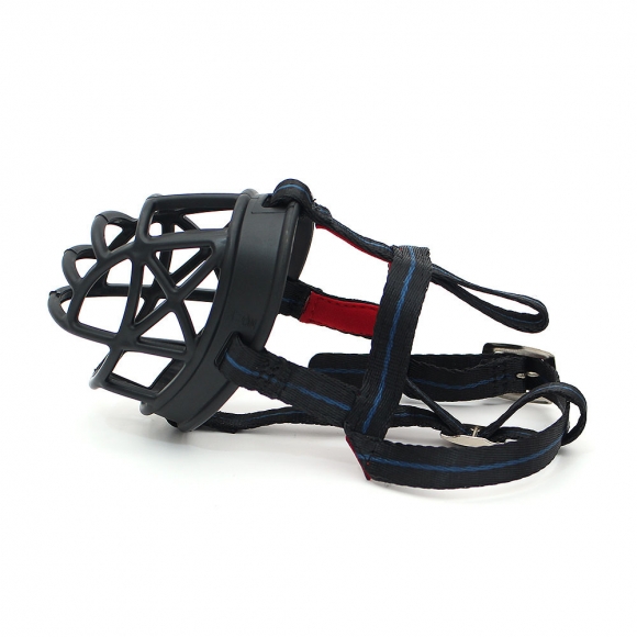 세이프독 강아지 입마개(소형견)