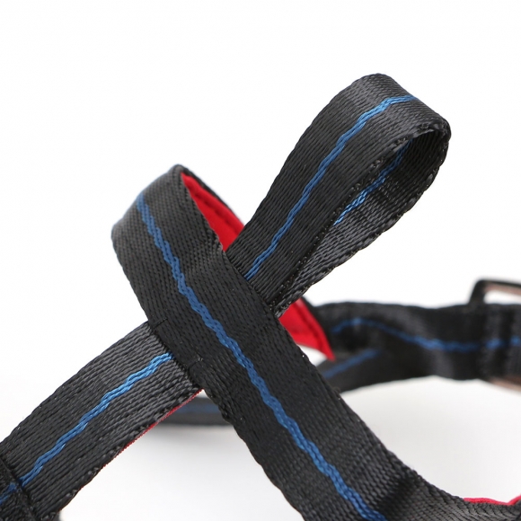 세이프독 강아지 입마개(소형견)