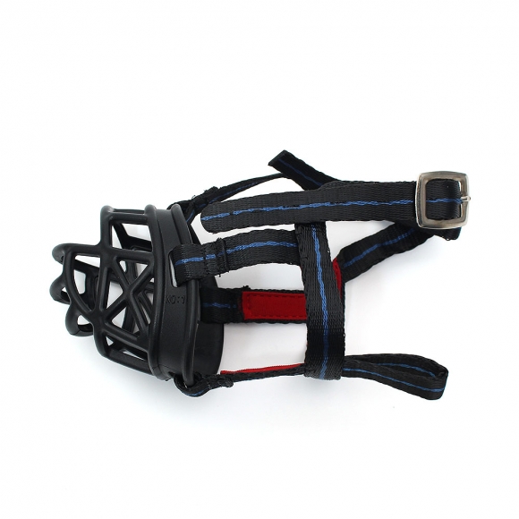 세이프독 강아지 입마개(소형견)