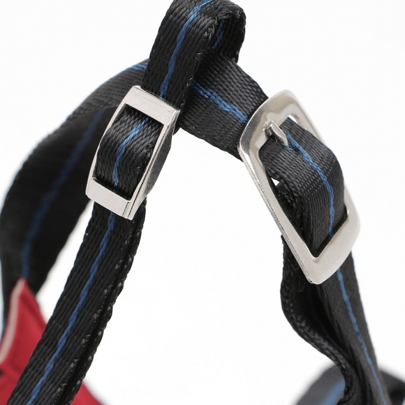 세이프독 강아지 입마개(중소형견)