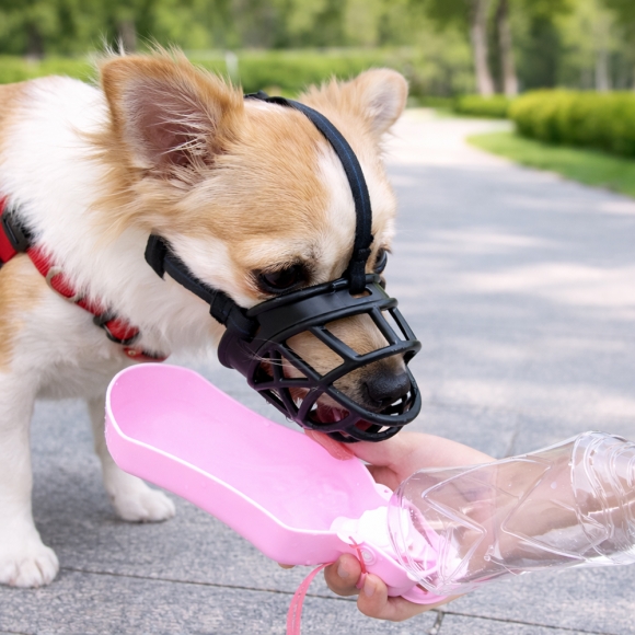 세이프독 강아지 입마개(중소형견)