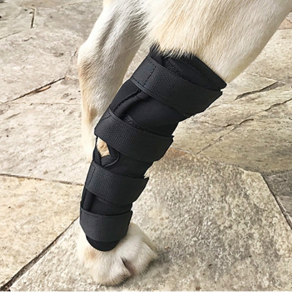 펫츠런 강아지 다리보호대(L)
