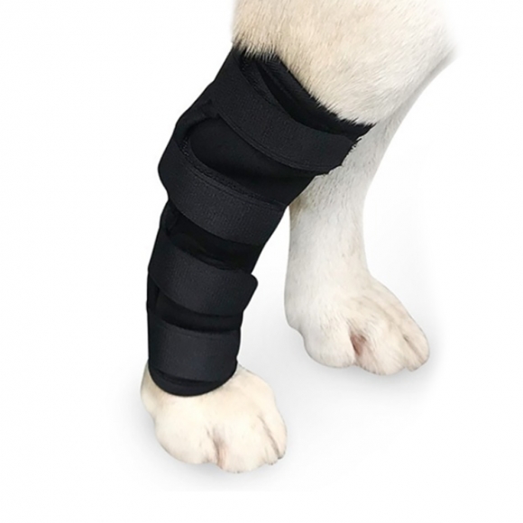 펫츠런 강아지 다리보호대(XL)