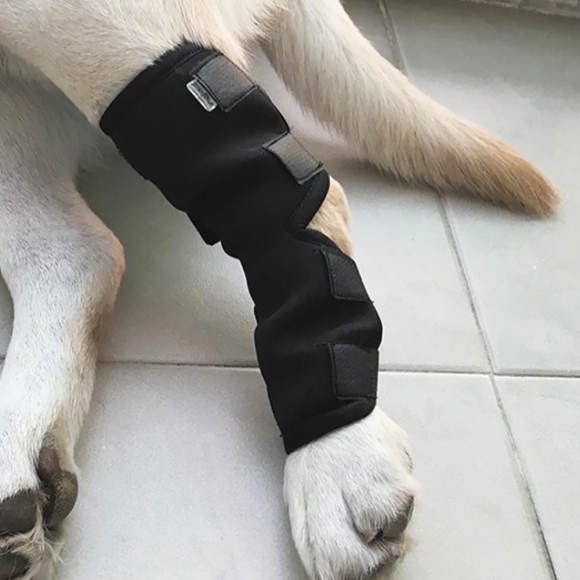 펫츠런 강아지 다리보호대(XL)