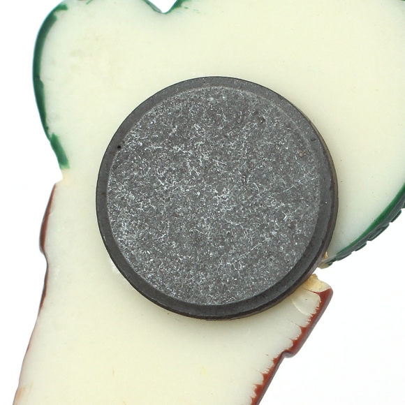 선인장 냉장고 자석 5p세트