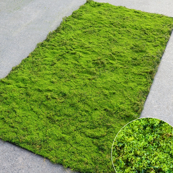 플랜테리어 리얼 인조 이끼 A-6(100cm*200cm)