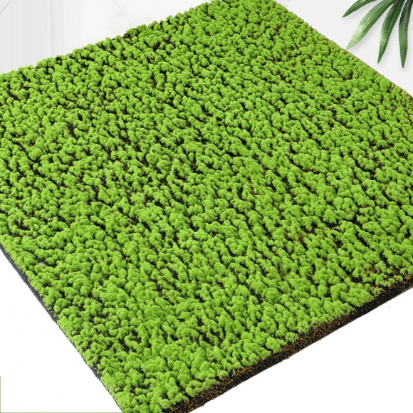 플랜테리어 리얼 인조 이끼 2P B-1(100cm*100cm)