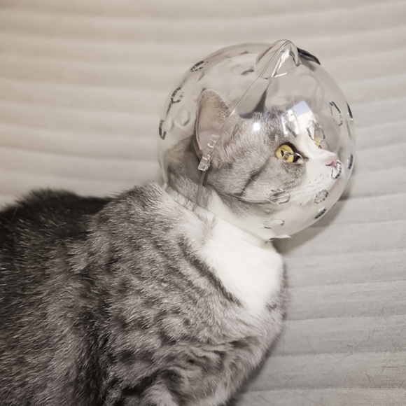 우주선 헬멧 고양이 입마개(중형묘)