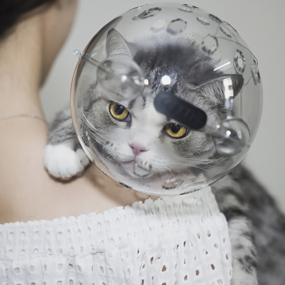 우주선 헬멧 고양이 입마개(중형묘)