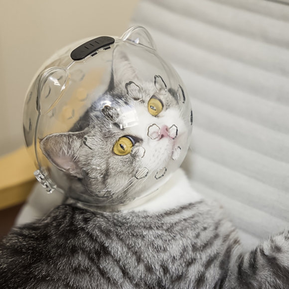 우주선 헬멧 고양이 입마개(중형묘)