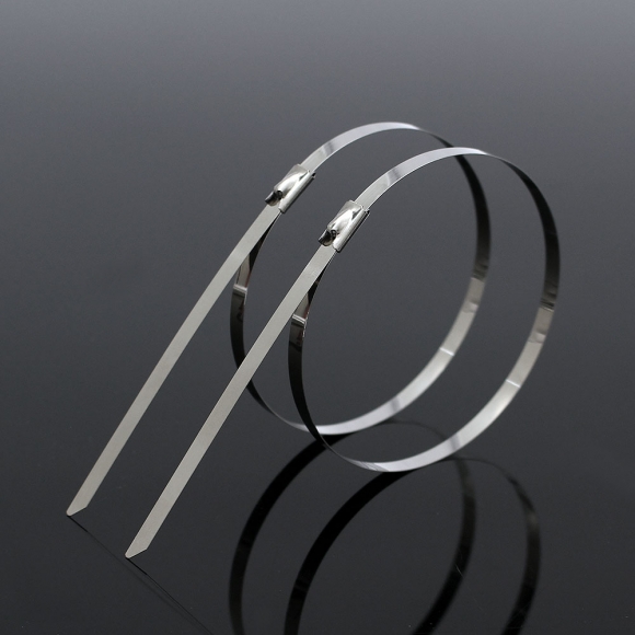 스트롱강 304스텐 케이블타이 100개(4.6x500mm)