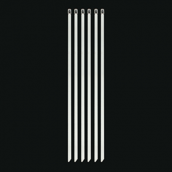 스트롱강 304스텐 케이블타이 100개(8x400mm)