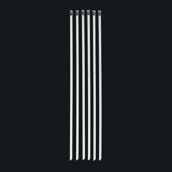 스트롱강 304스텐 케이블타이 20개(10x500mm)