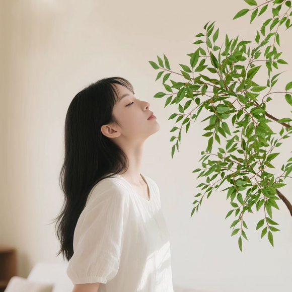 인테리어 남천나무 인조 조화 나무 D-1(160cm)(색상)