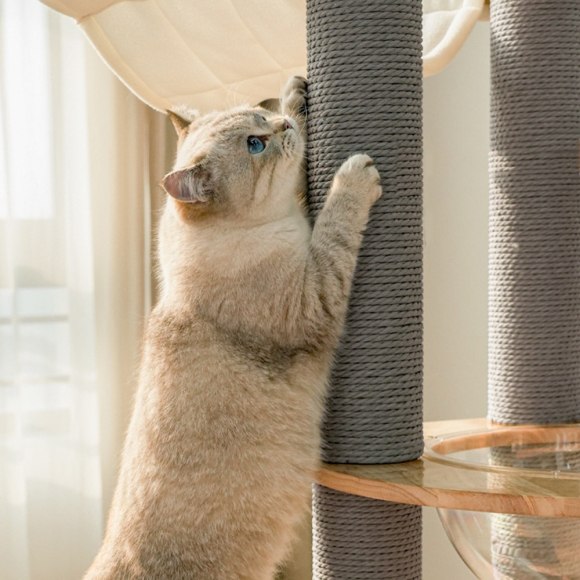 고양이 다기능 무음 캣휠 캣타워