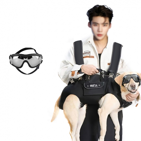 반려동물 스타일리쉬 포대기 이동가방+고글 XL