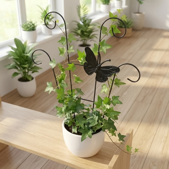 초록공간 나비 부채형 식물지지대