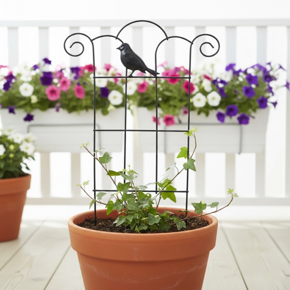 초록공간 버드 격자형 식물지지대