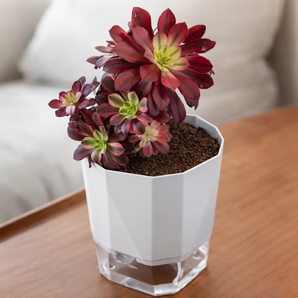 [SELF ROOM] 리브 자동급수 화분(26x28cm)