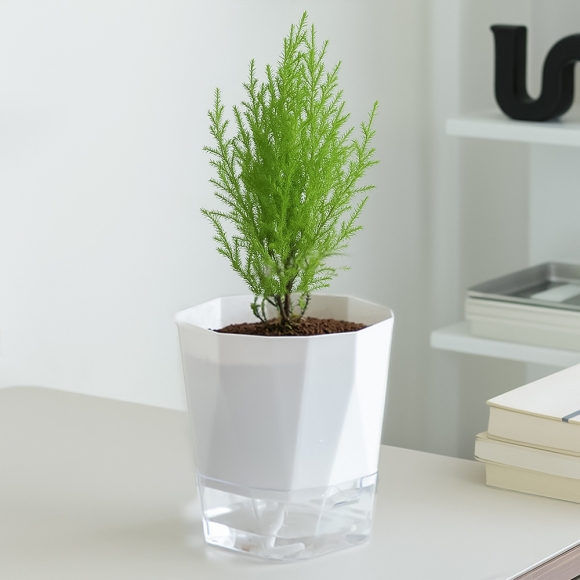 [SELF ROOM] 리브 자동급수 화분(26x28cm)