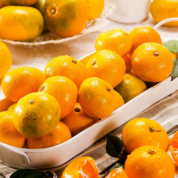 [초록자연] 제주 타이벡 감귤 5kg (로얄과S)