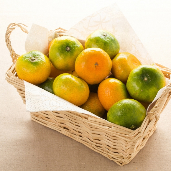 [초록자연] 노지 새코미 감귤 5kg (로얄과S)