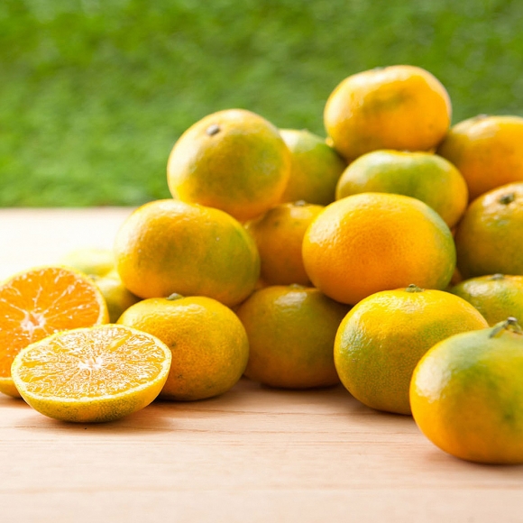 [초록자연] 노지 새코미 감귤 5kg (로얄과S)