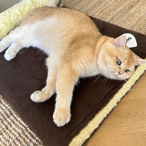 소프트 고양이 침대 방석 쿠션 03