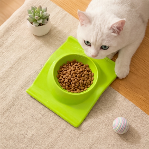 펫린 반려동물 식기(라임 그린)