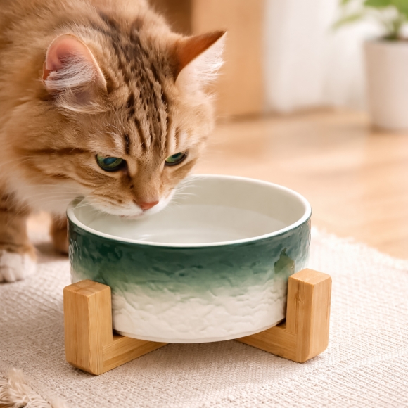 반려동물 우드받침 도자기식기(16cm) (그린그라데이션)