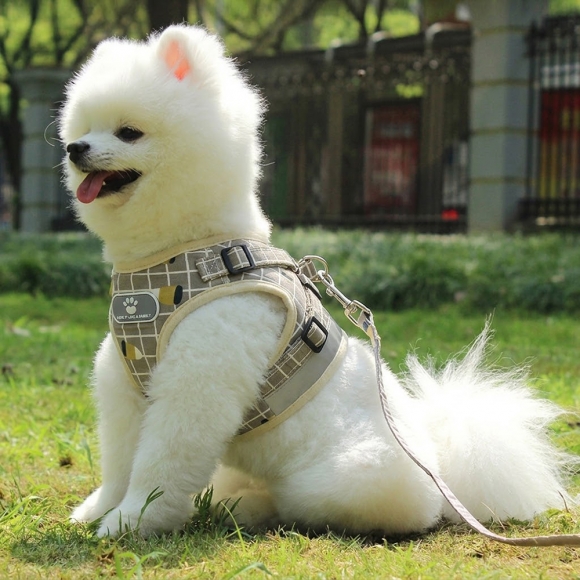 러브잇 강아지 하네스+리드줄 세트(XL) (옐로우)