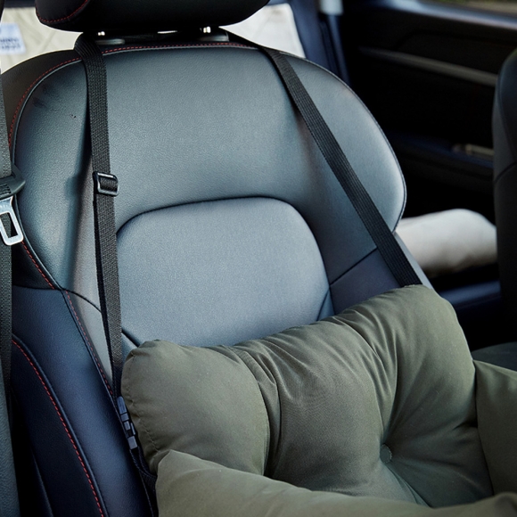 차량용 캐리어 반려동물 카시트 A-2(색상)