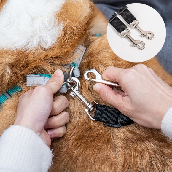 차량용 캐리어 반려동물 카시트 C-2(색상)