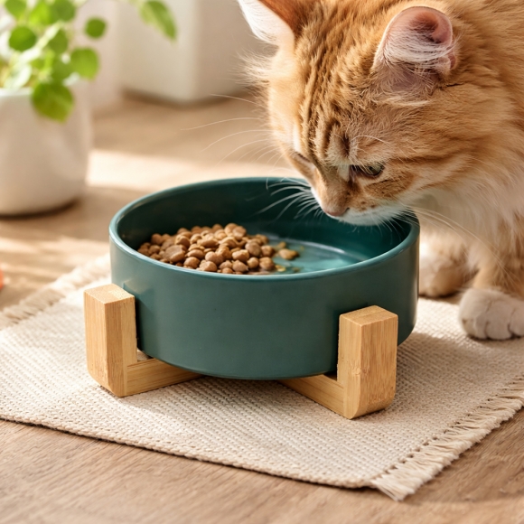 반려동물 우드받침 도자기식기(13cm) (그린)