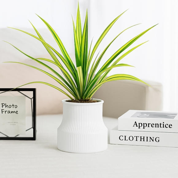 스토아 자동급수 화분(화이트)