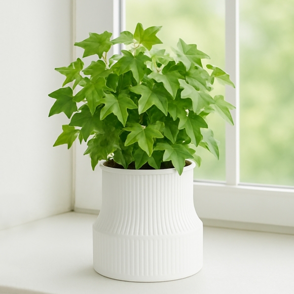 스토아 자동급수 화분(화이트)