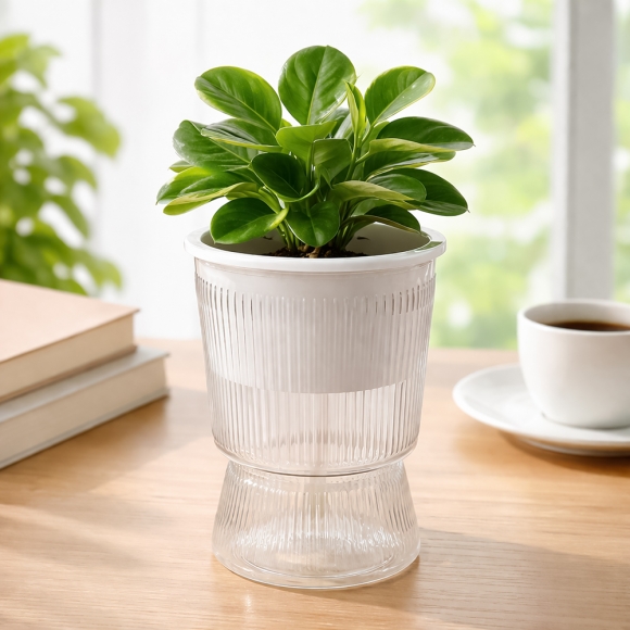 클래시움 자동급수 화분(11x16cm) (투명)