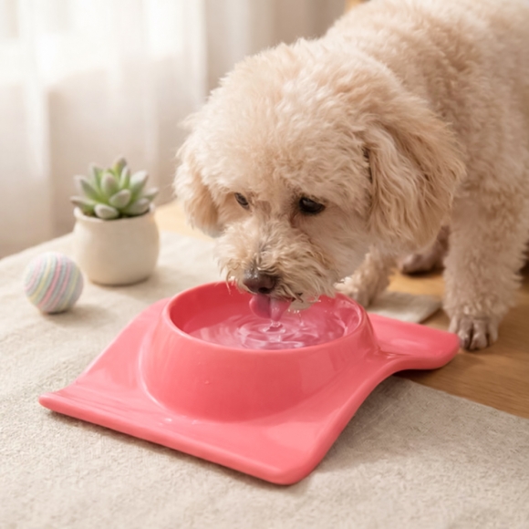 펫린 반려동물 식기(코랄 핑크)