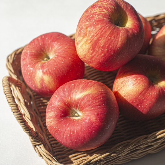 [초록자연] 고당도 고랭지 부사 사과 5kg (15-17과)