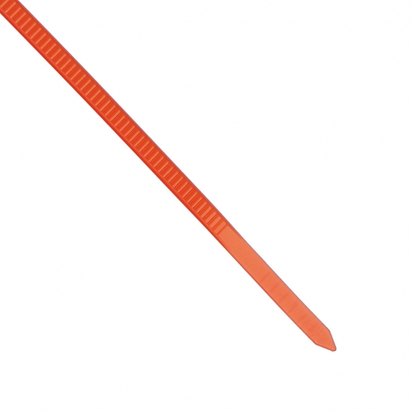 메모 라벨 케이블 타이 250p세트(150mm) (레드)