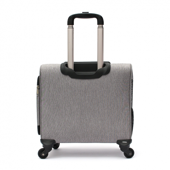 펫모아 우주선 반려동물 캐리어(그레이)