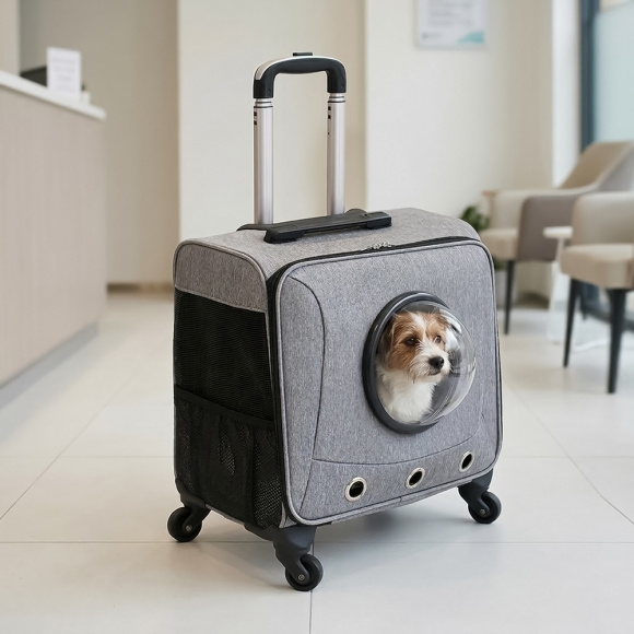 펫모아 우주선 반려동물 캐리어(그레이)