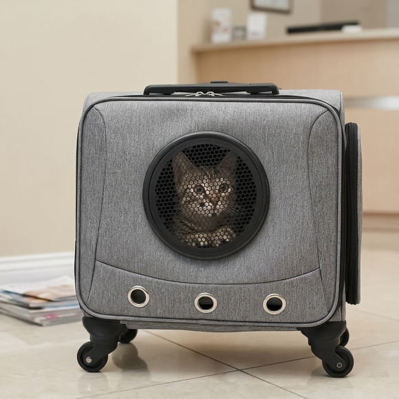 펫모아 우주선 반려동물 캐리어(그레이)