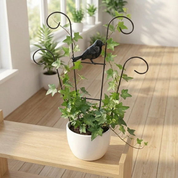 초록공간 버드 부채형 식물지지대