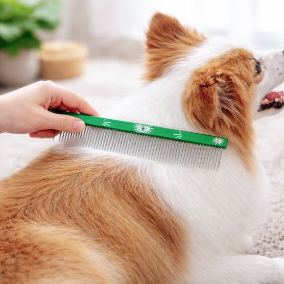 포포리 반려동물 스텐 일자빗(그린)