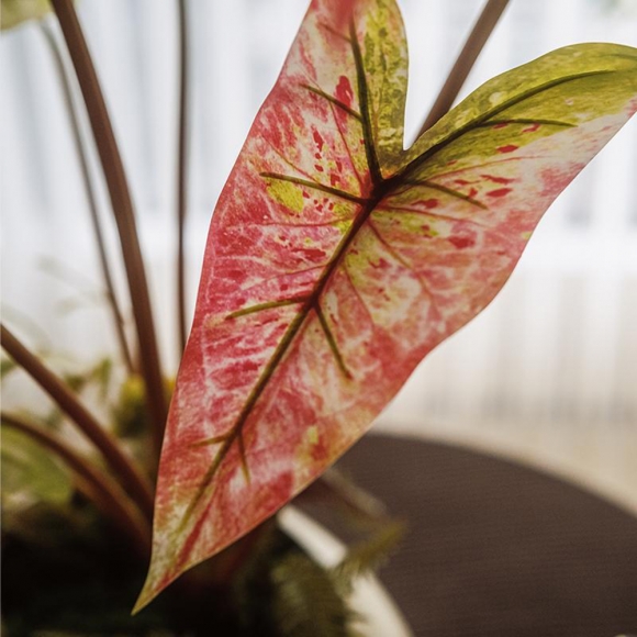 집안 분위기 칼라디움 조화 장식01